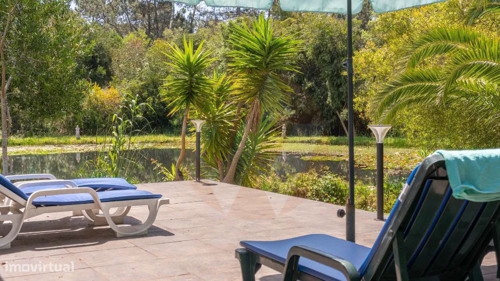 Magnifico Oásis No Bosque Encantado