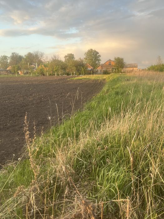 Огород  безкоштовно