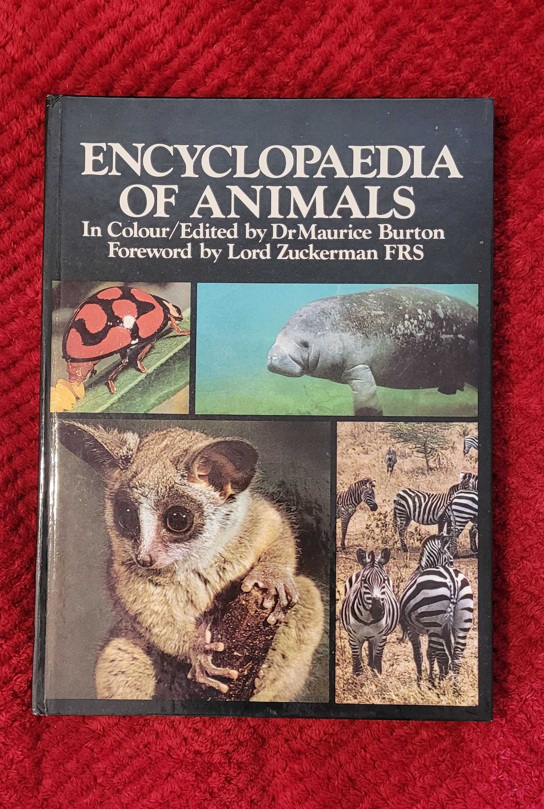 Album "Encyclopaedia of animals" M. Burton