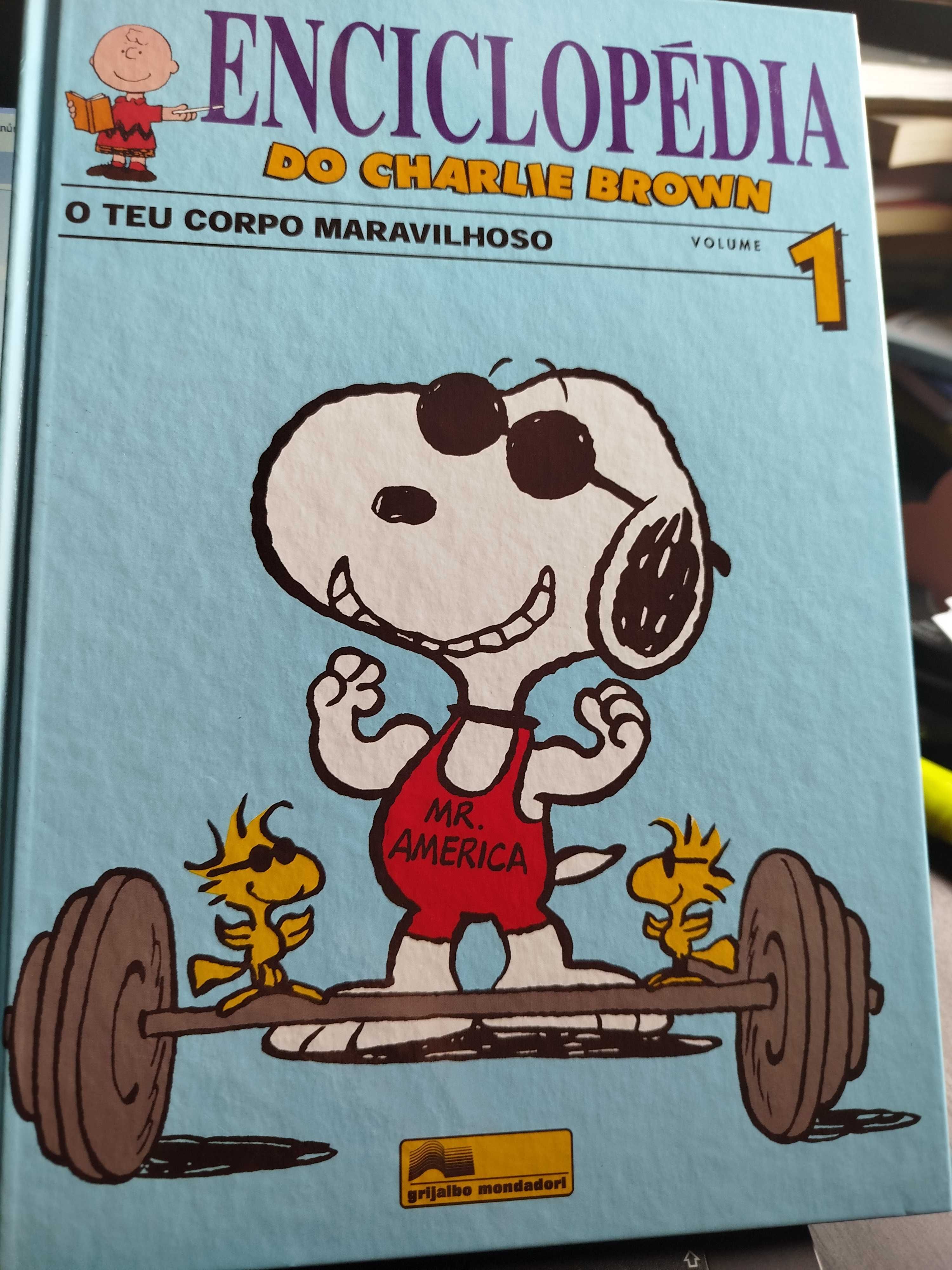 Enciclopédia do Charlie Brown [14 volumes]