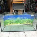 Aquário para peixes