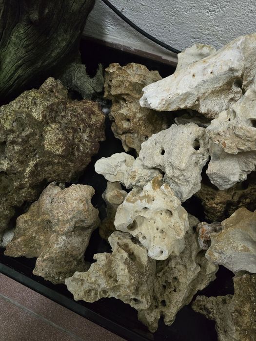 Pedras Branca Regional Prefurada para Aquários