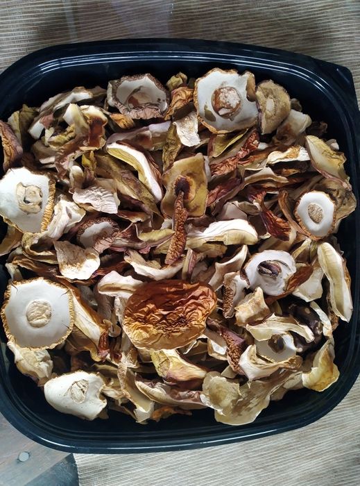 Grzyby Borowiki świeże suszone marynowane