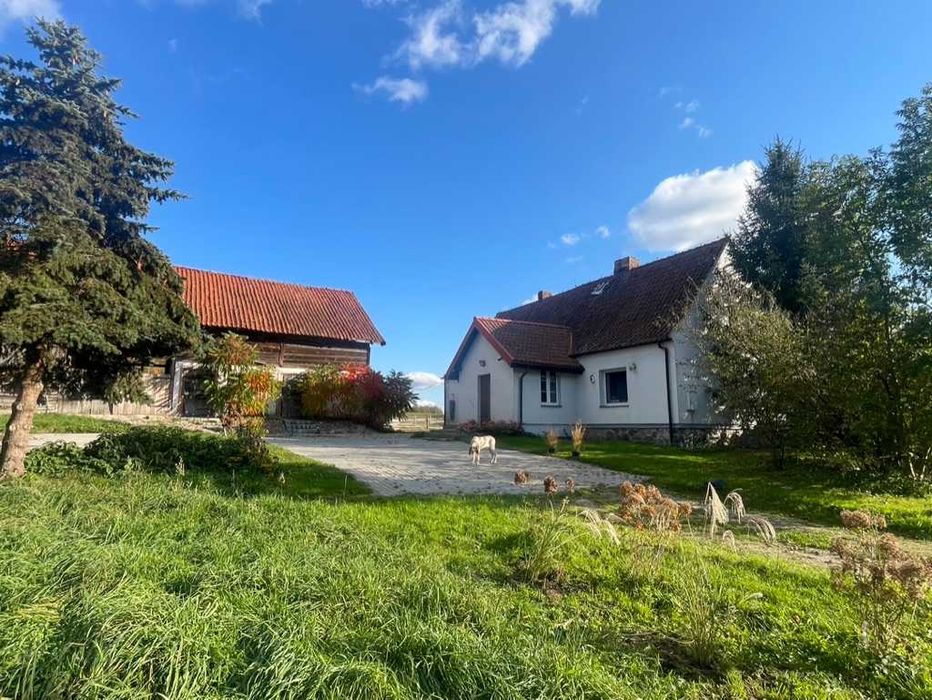 Domek na Warmii i Mazurach z sauną i banią, okolice jeziora Dadaj