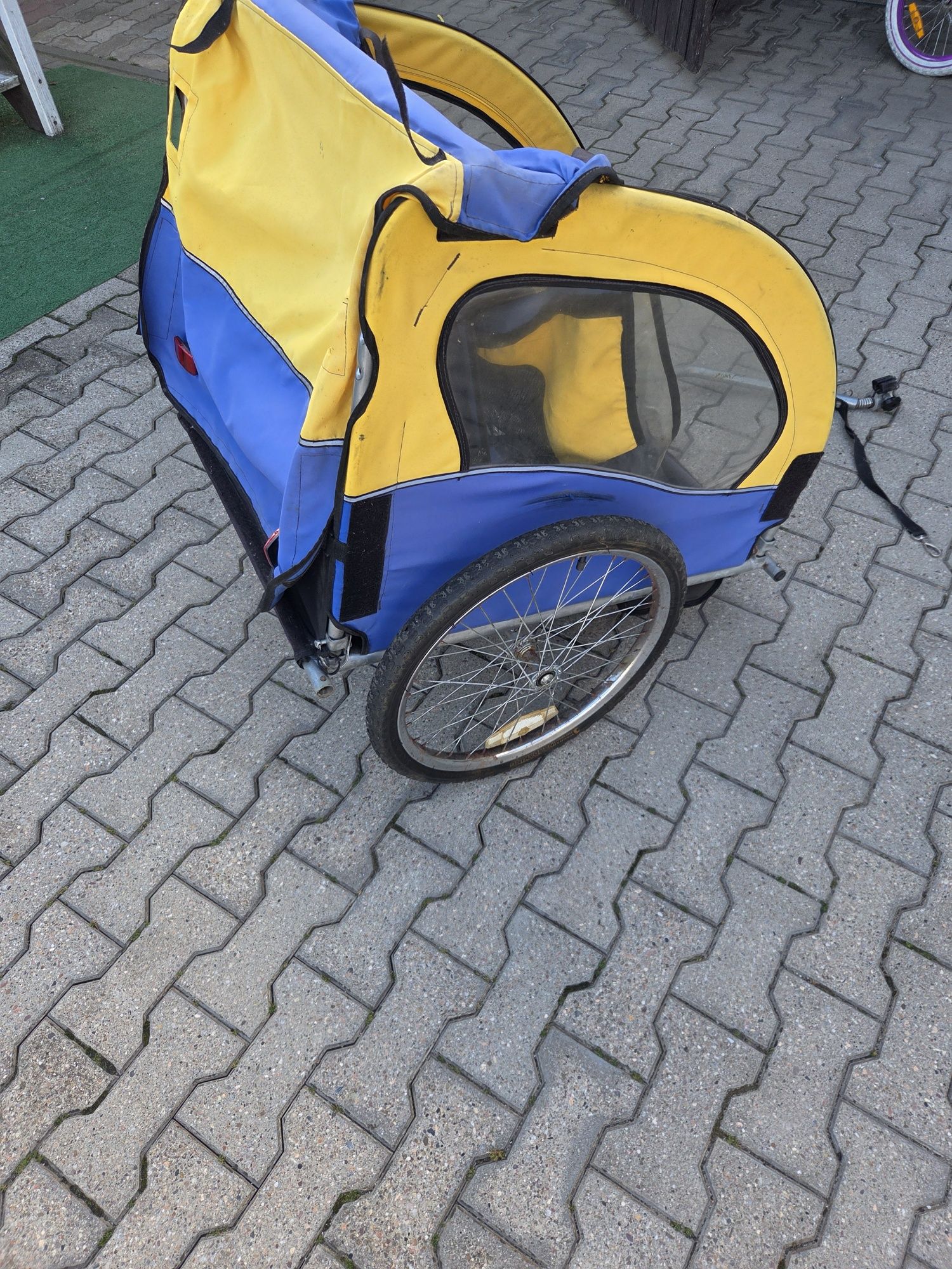 Riksza dla dzieci