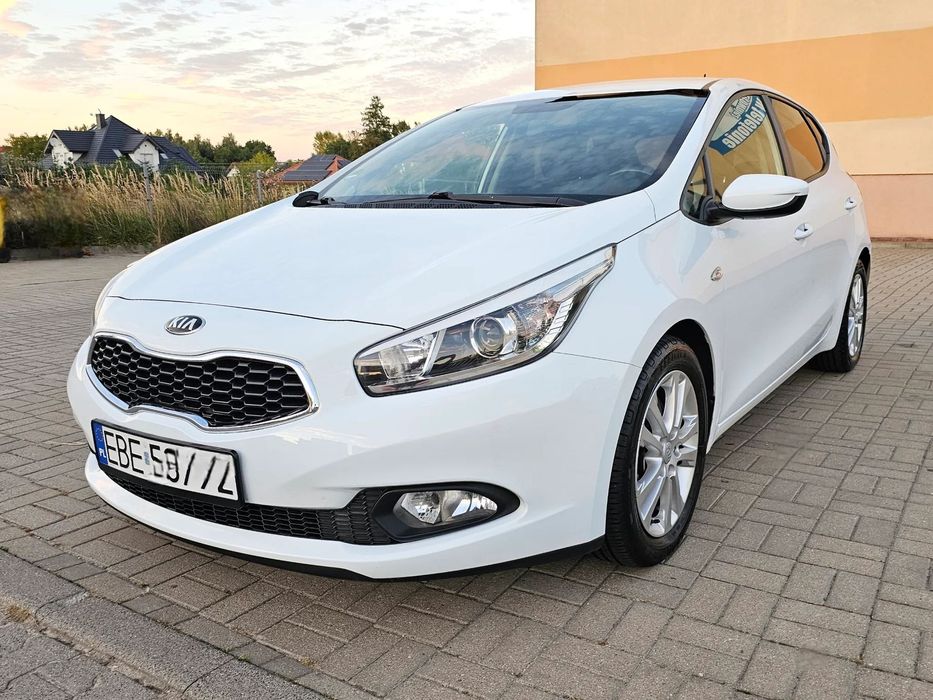 Kia Ceed 2014 1.4 Benz. PDC Podgrzewane fotele Alufelgi Zarejestrowany w Polsce