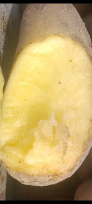 Ziemniaki odmiany Anna Bernina  10kg