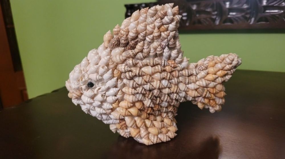 Muszle i wyroby z różnego rodzaju muszli