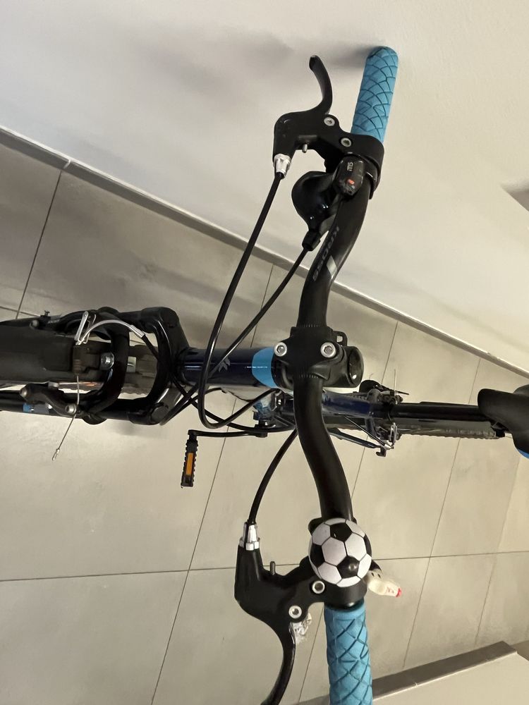 Rower Kross Hexagon 24 cale