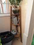 Base para plantas