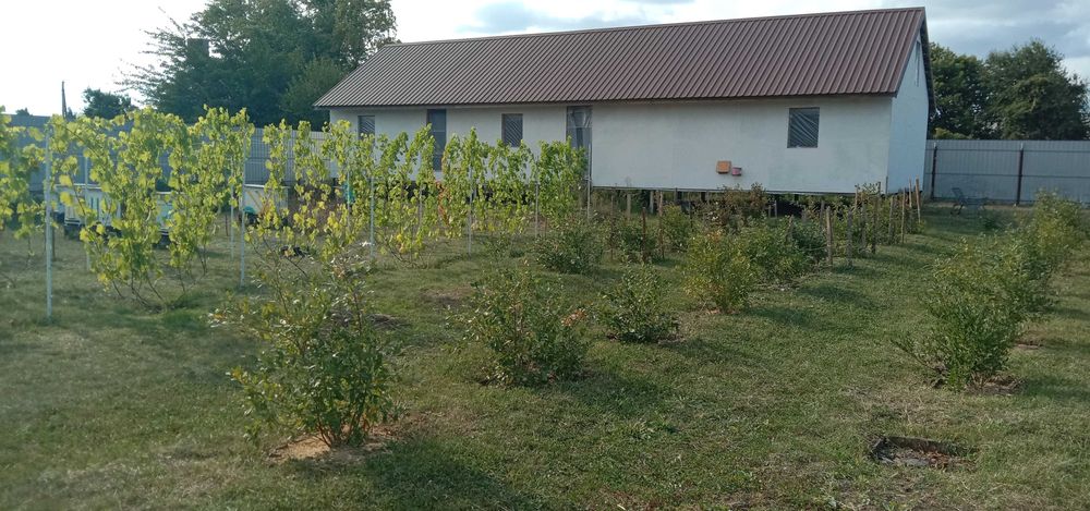 Земельна ділянка 0,12 га