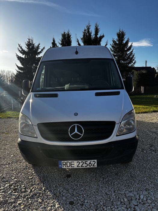Mercedes Benz 313 CDI - BUS