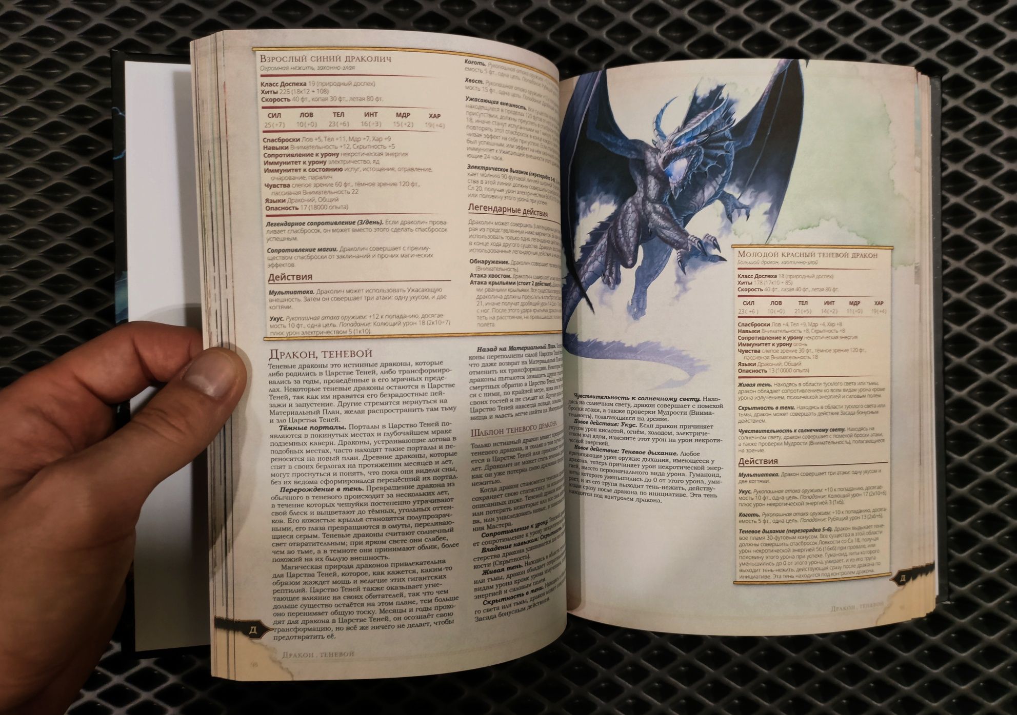 Книга игрока Твердый переплет Dungeons & Dragons