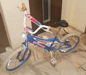 Bicicleta roda 20