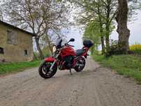 Suzuki Bandit Suzuki Bandit 650