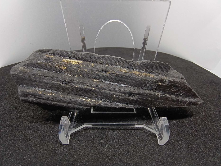 Skamieniałość Karbońska - Kora Sygilarii z Pirytem