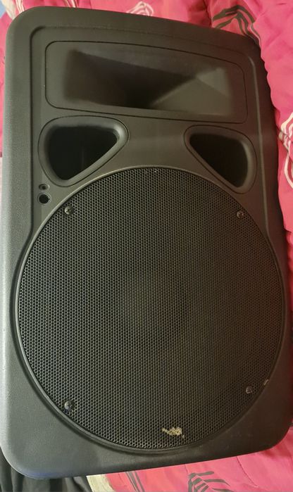 Coluna amplificada profissional "15"