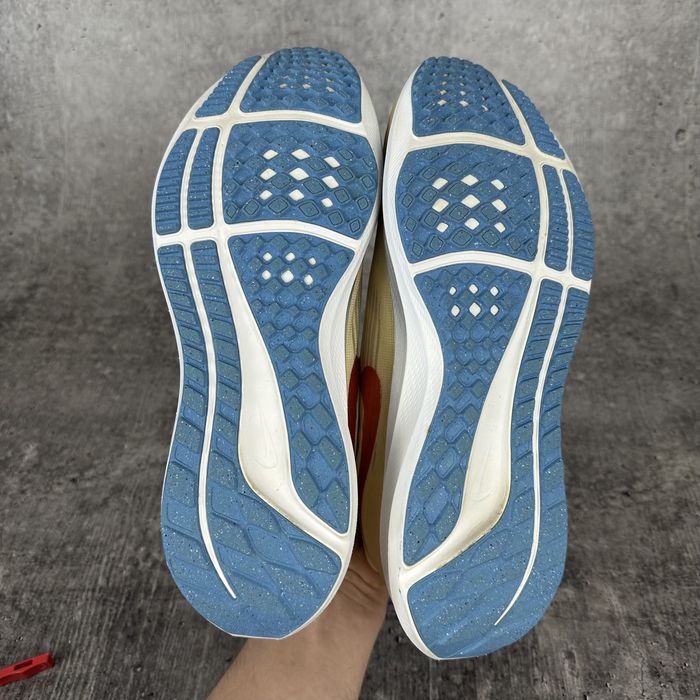 Спортивні Кросівки Nike Air Zoom Pegasus 39