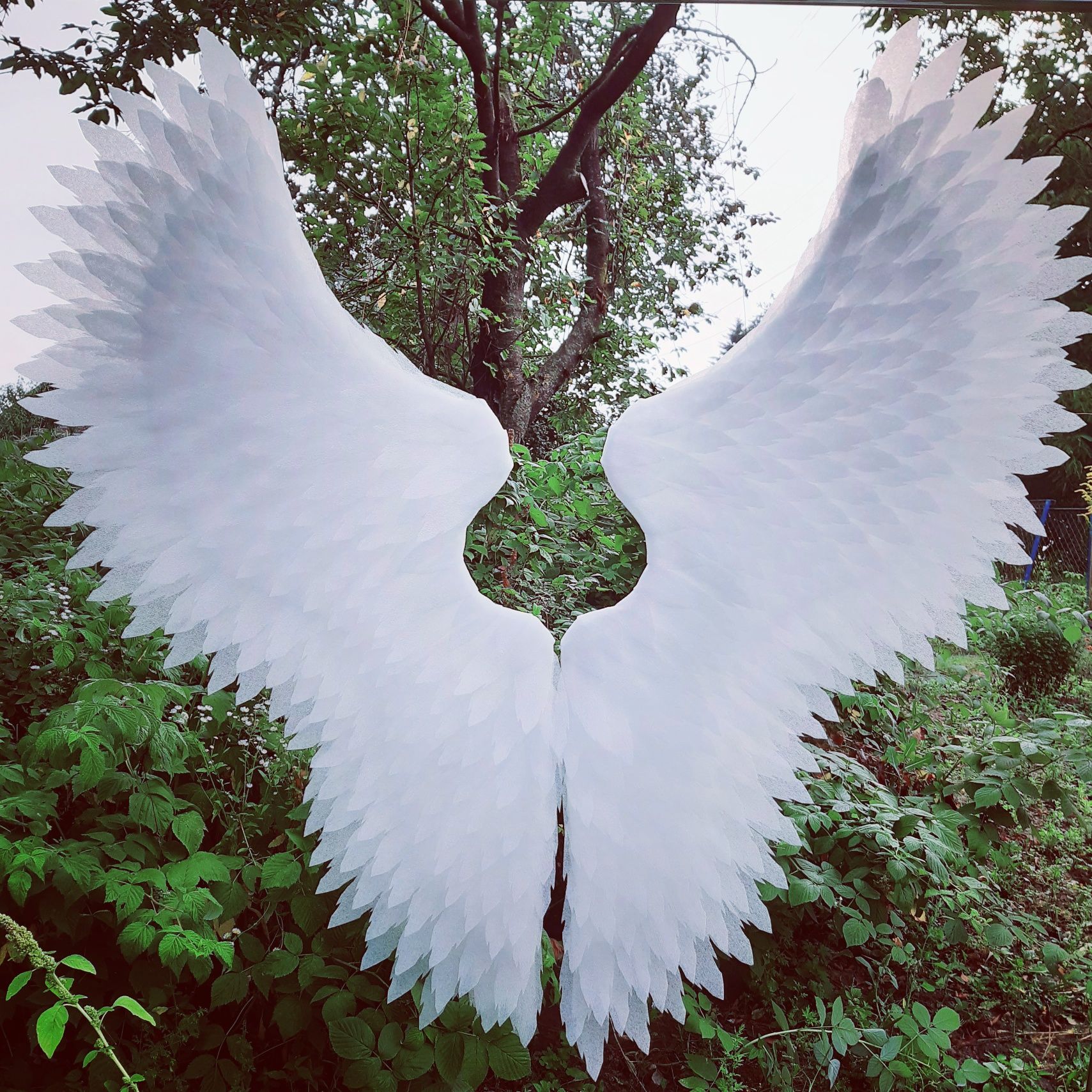 Крила янгола, крылья ангела для фотозоны для фотозони