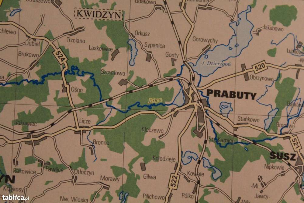 Lasy Kujawsko-Pomorskie mapa-317