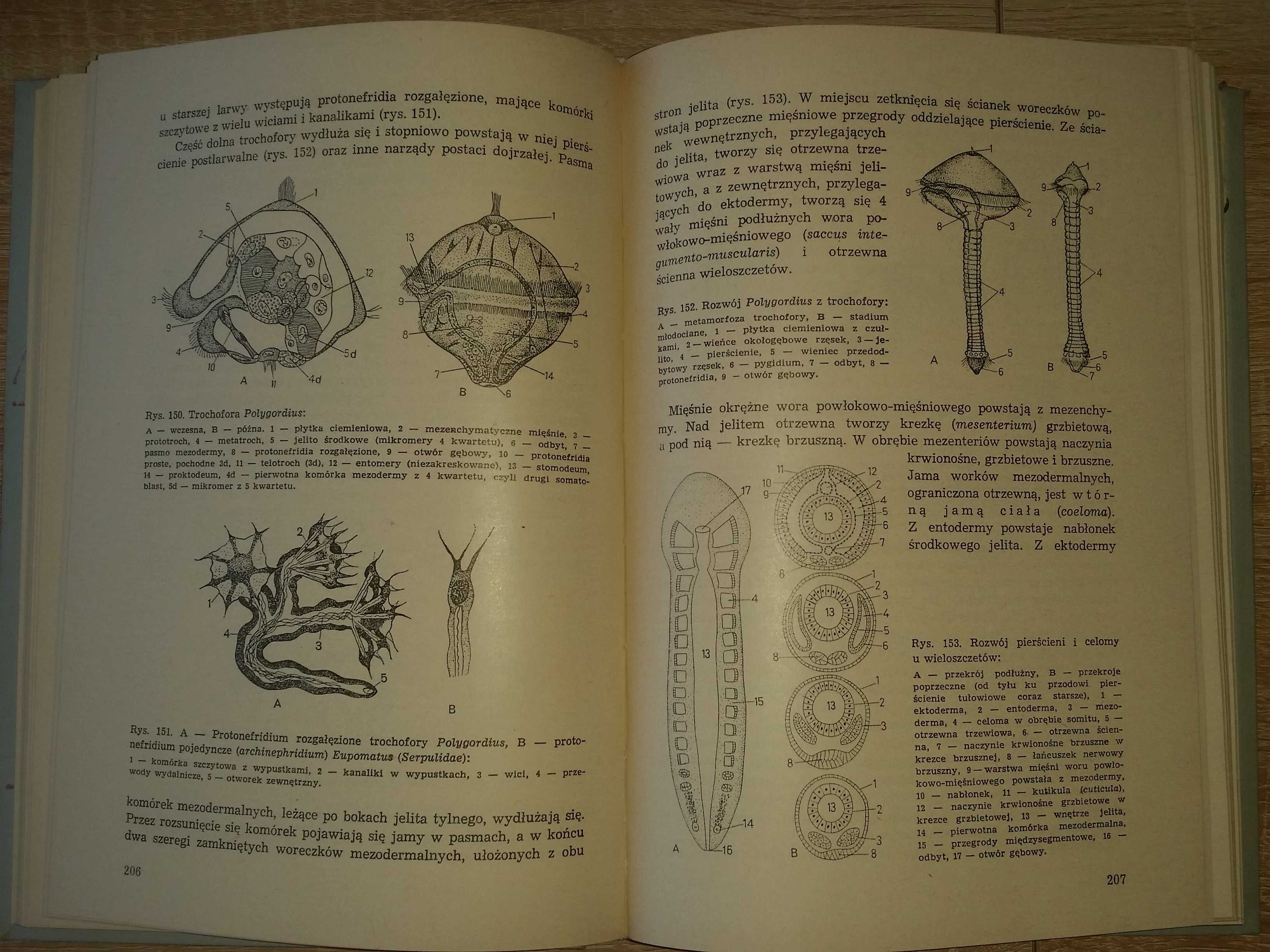 Zoologia podręcznik dla Akademii Rolniczych PWN 1977