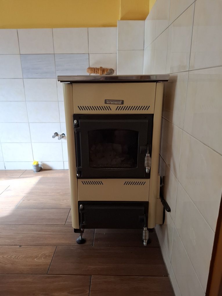 Piec Temy ES10 Beżowy używany 2 lata