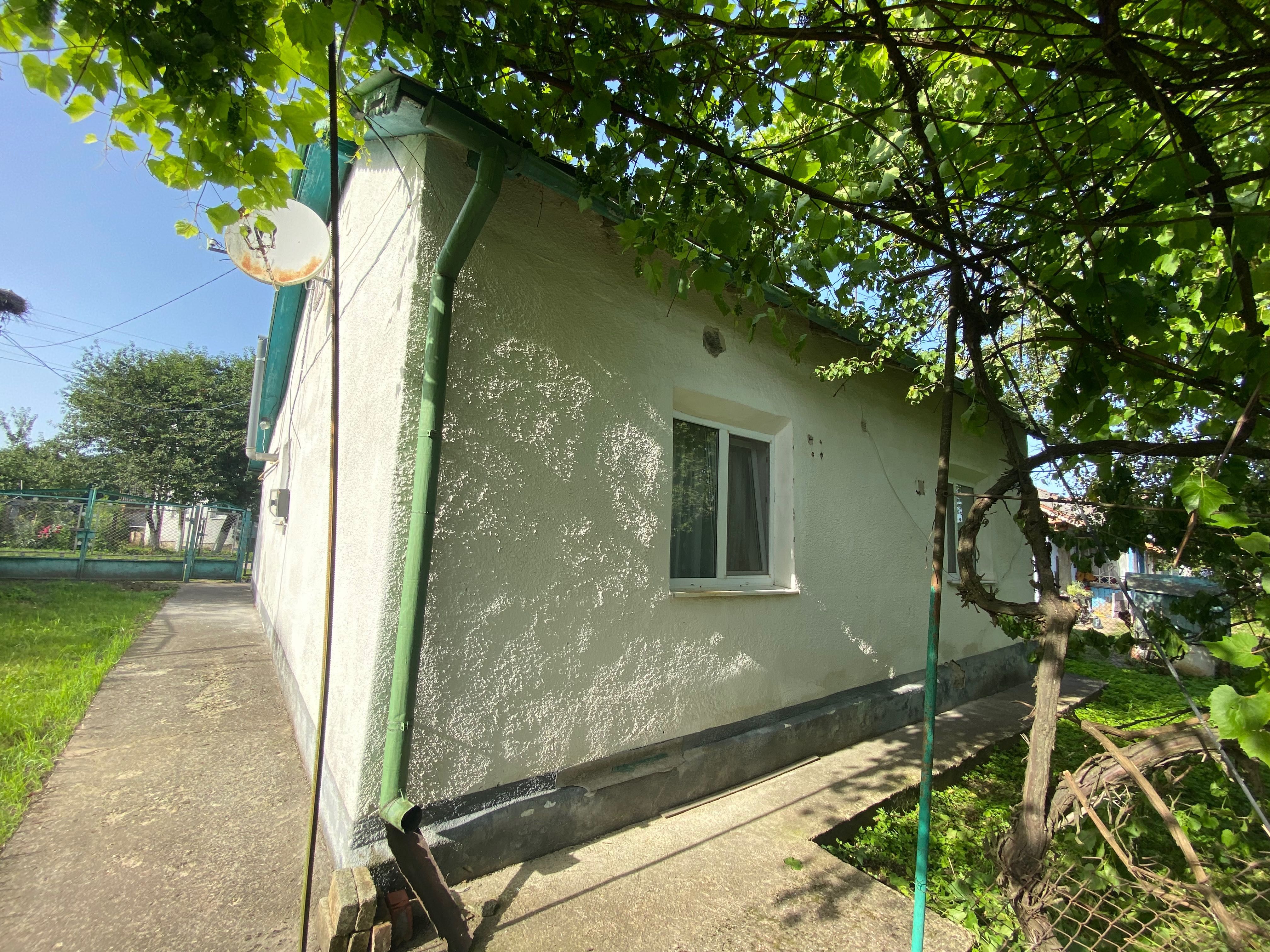 Будинок з ділянкою