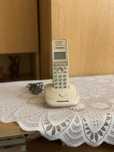 Telefon Panasonic KX-TG2511PDJ