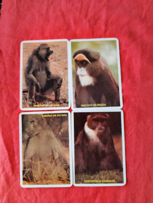 Calendários de bolso 1993