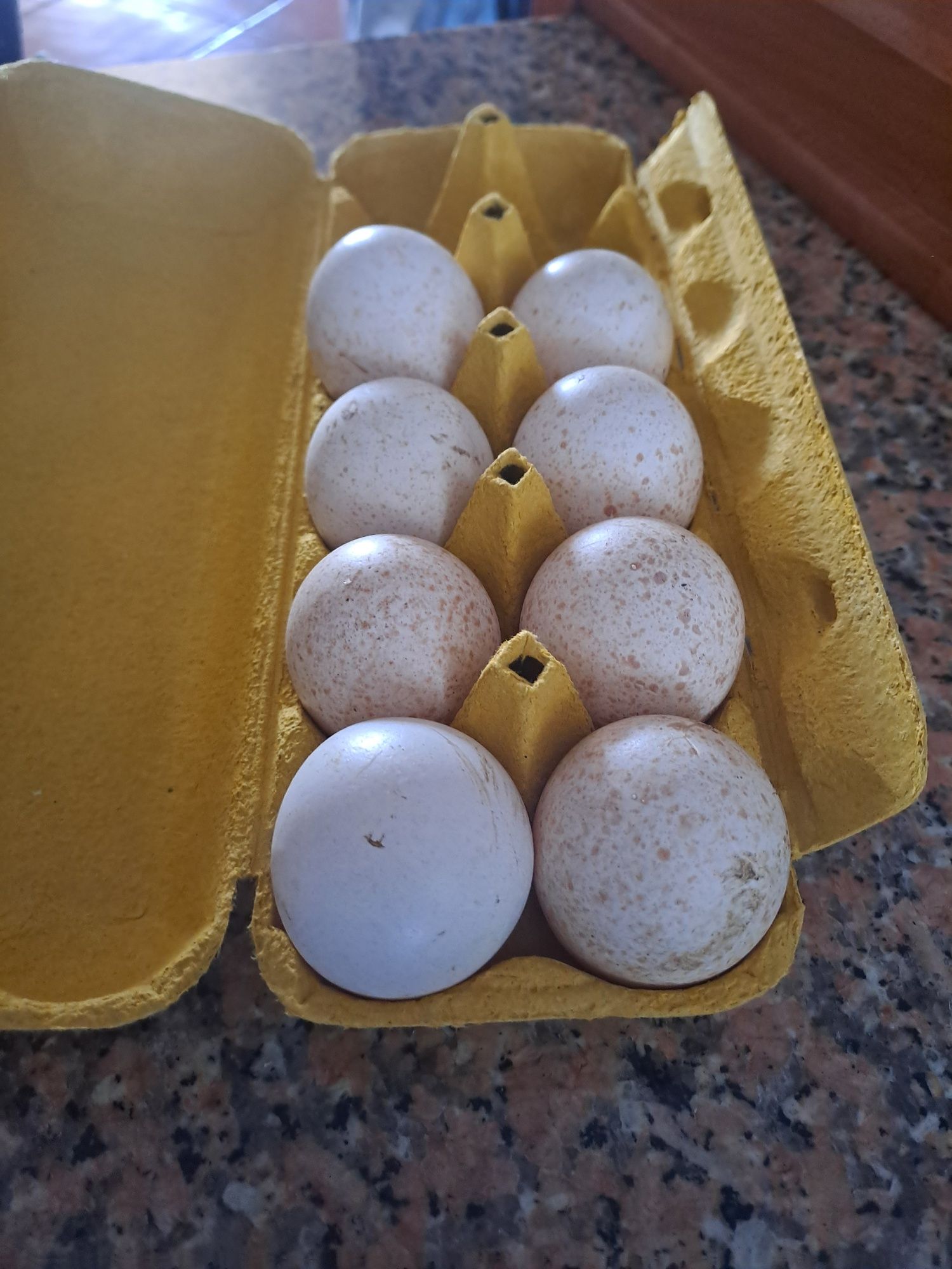 Ovos caseiros peru pato e galinha