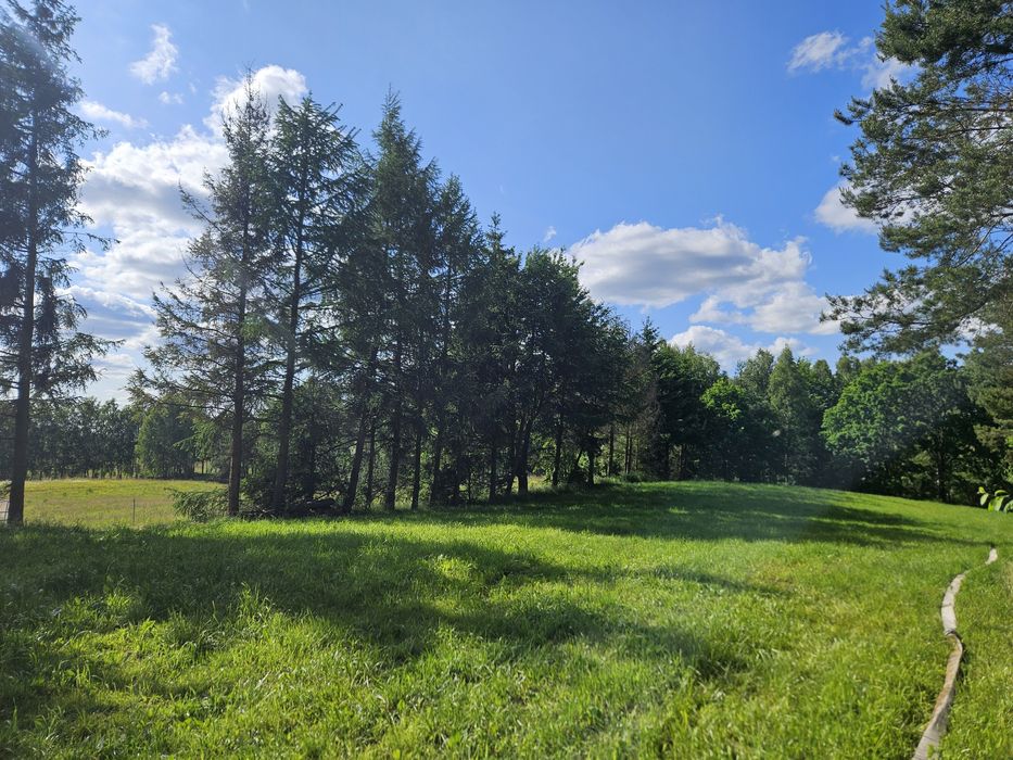 działka nad jeziorem