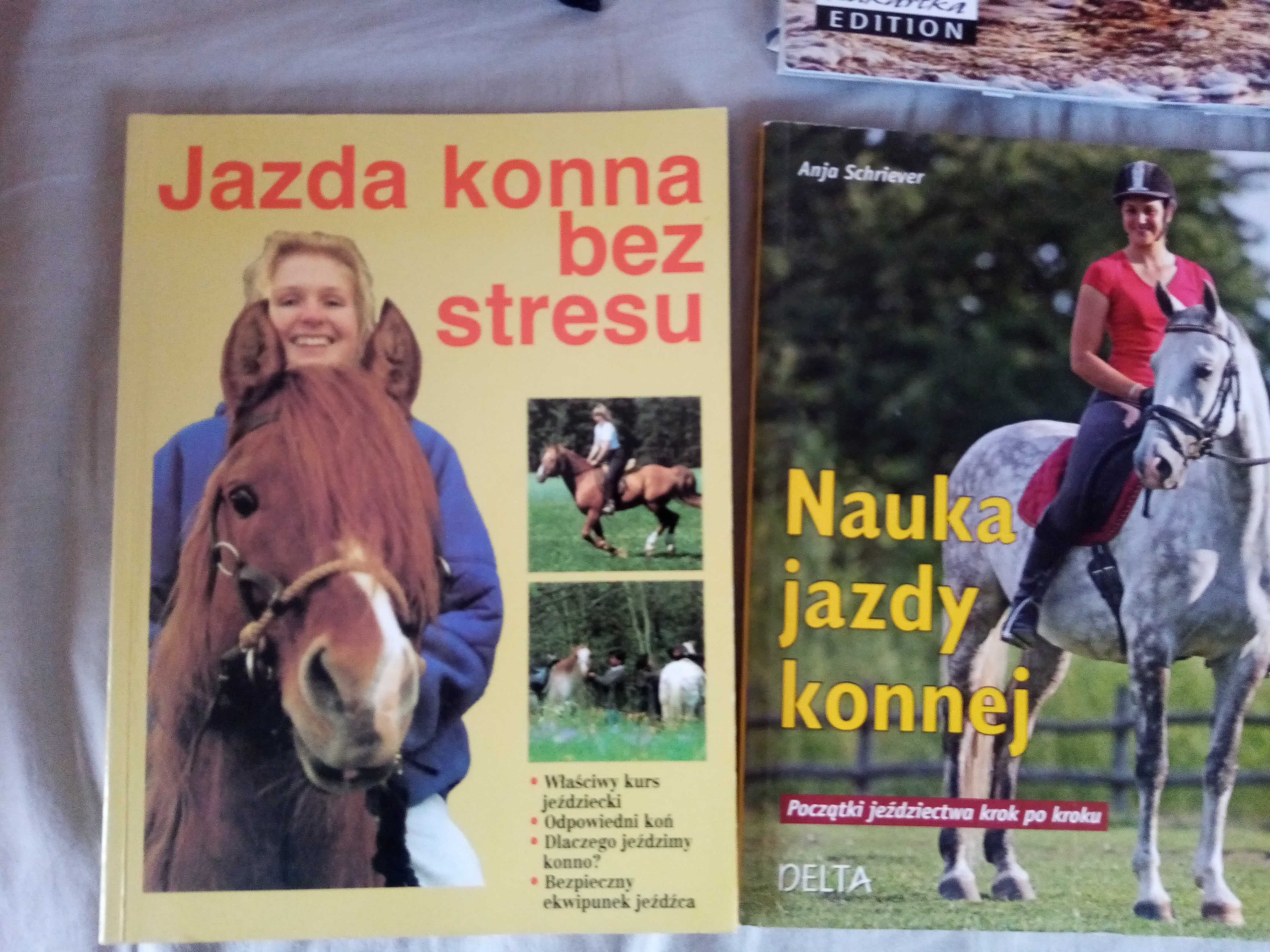 Zestaw koński nauka jazdy konie 4 książki 2 figurki