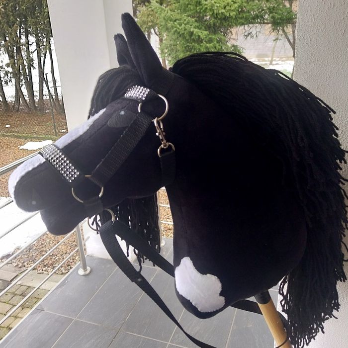 Hobby Horse-koń na kiju