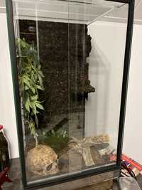 Terrarium 80x40x40