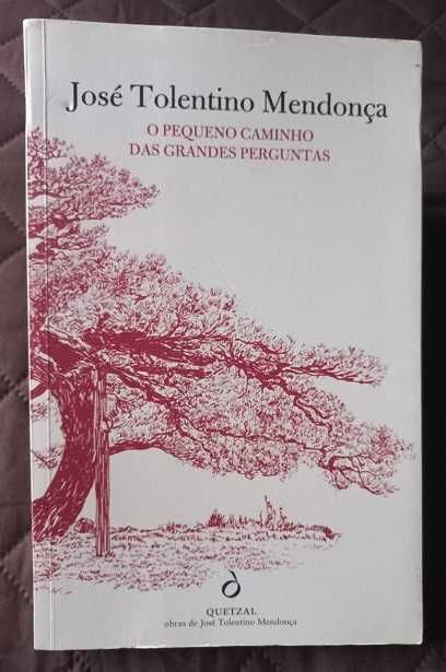 O Pequeno Caminho das Grandes Perguntas - José Tolentino Mendonça