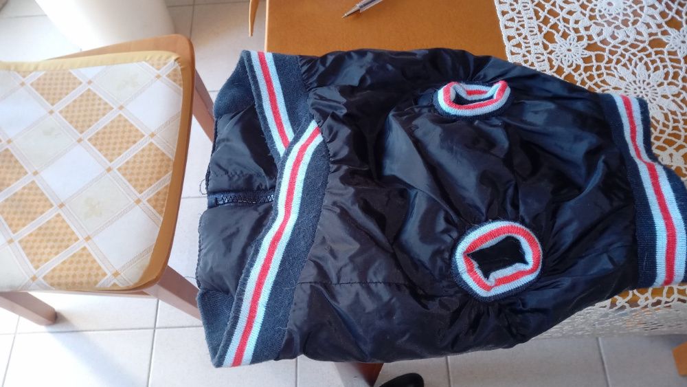 Casaco impermeável para cão