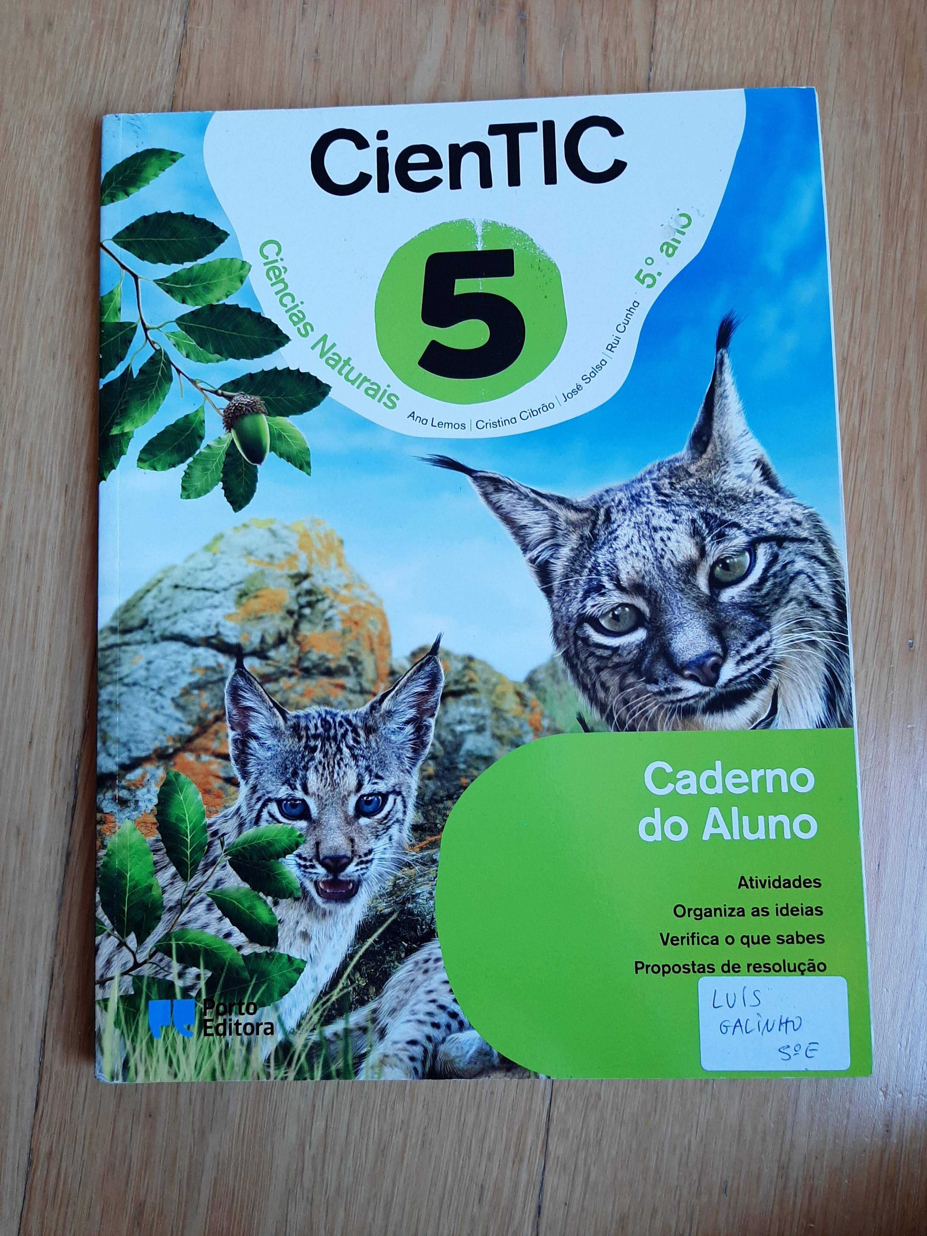 Livros escolares 2º ciclo 5º e 6º ano - Manuais, Cadernos e apoio