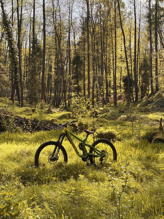 Norco Aurum rower mtb dh fr