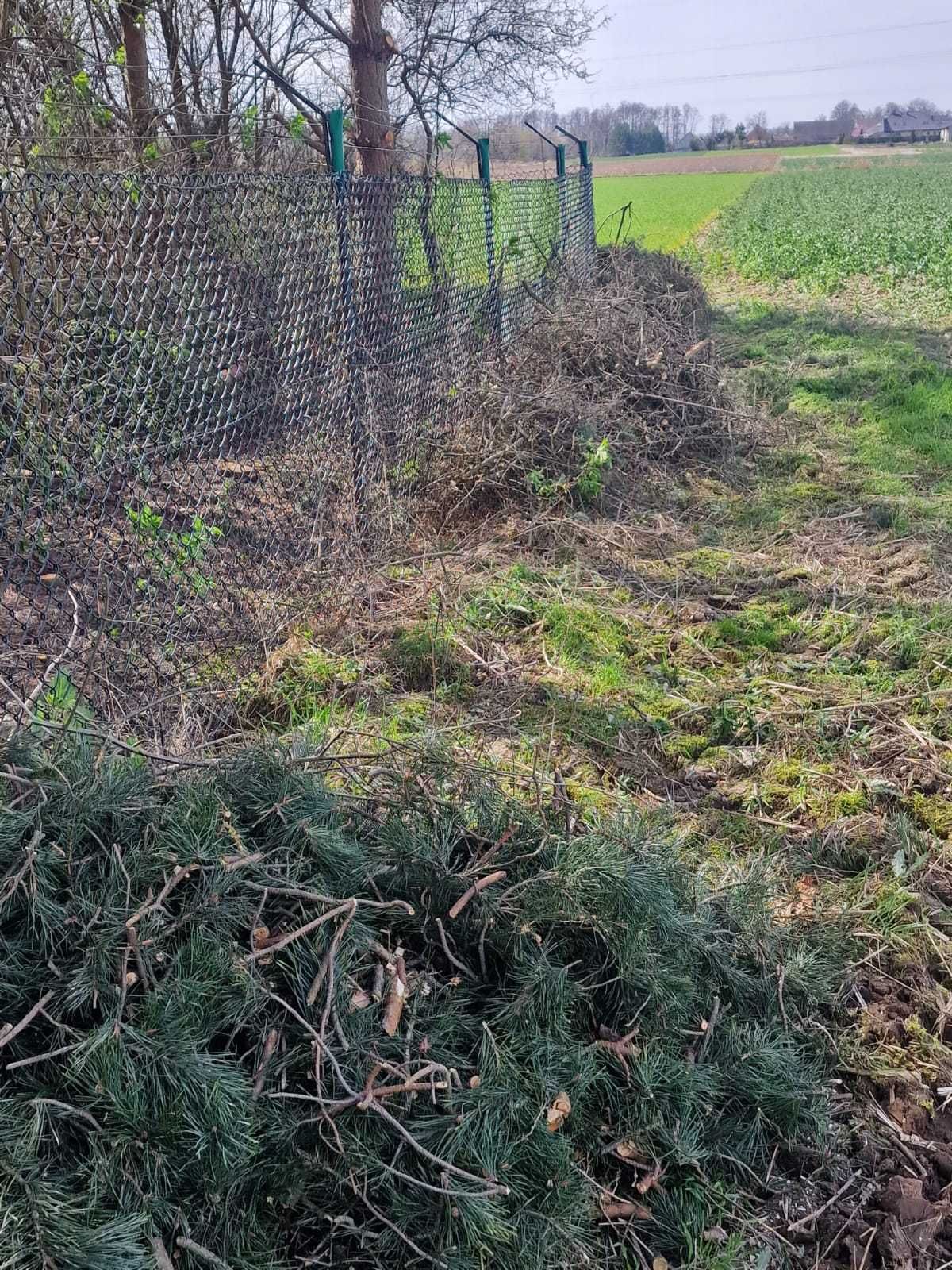 Usługa rębakiem walcowym i kosiarką bijakową.