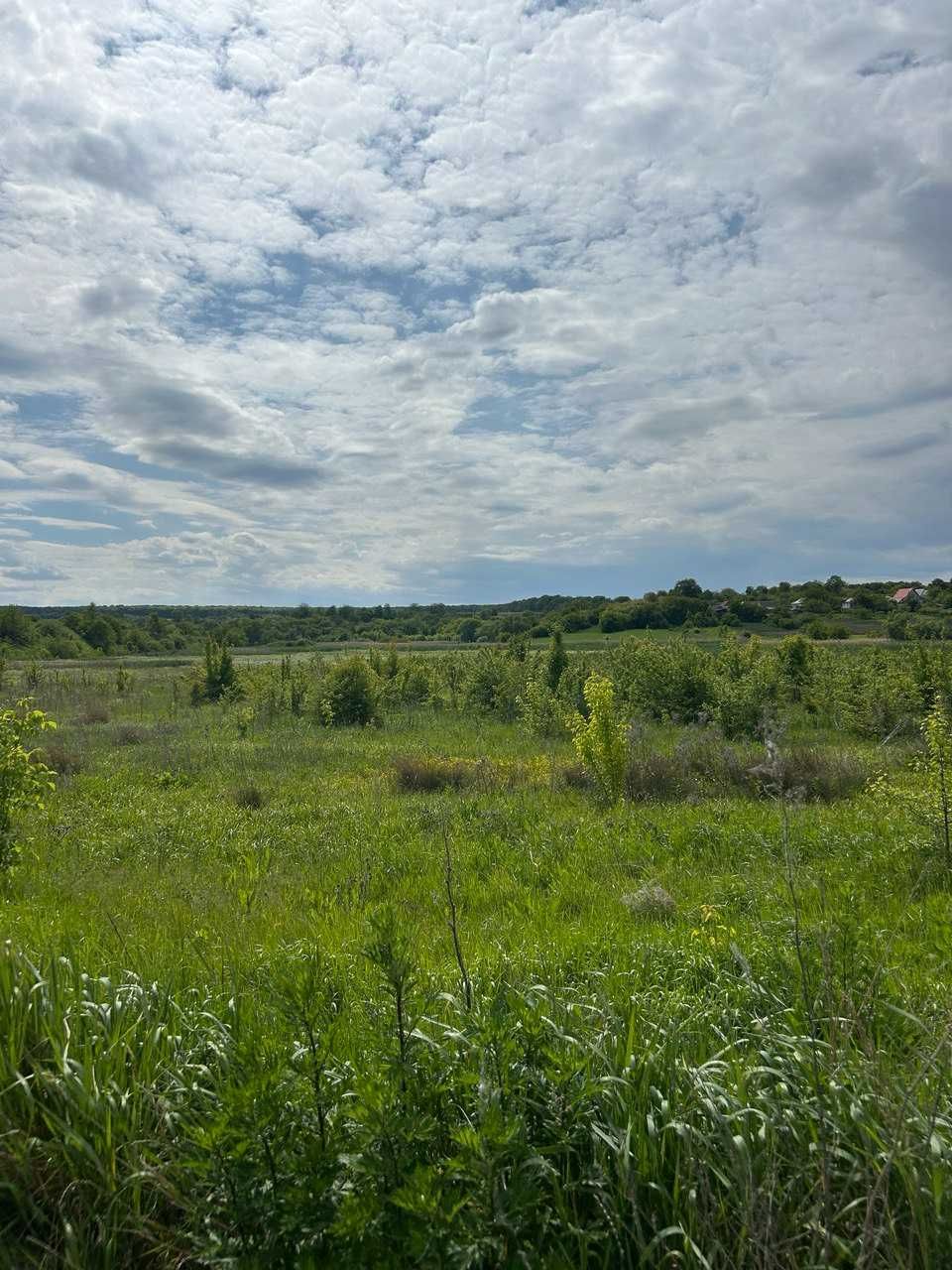 Продам земельну діляку 0,37 га в с. Гродзеве Уманського р-ну