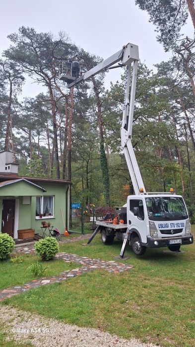 Wycinanie drzew przycinanie pielęgnacja