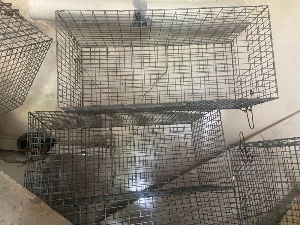 Klatka  transporter do przewozu zwierząt oryginalnie dla nutrii