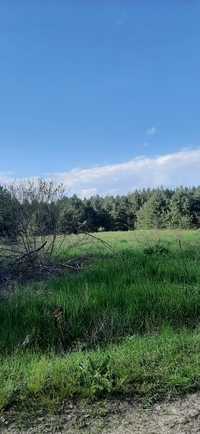 Продам земельну ділянку 50 соток в лісі на річці Рось.