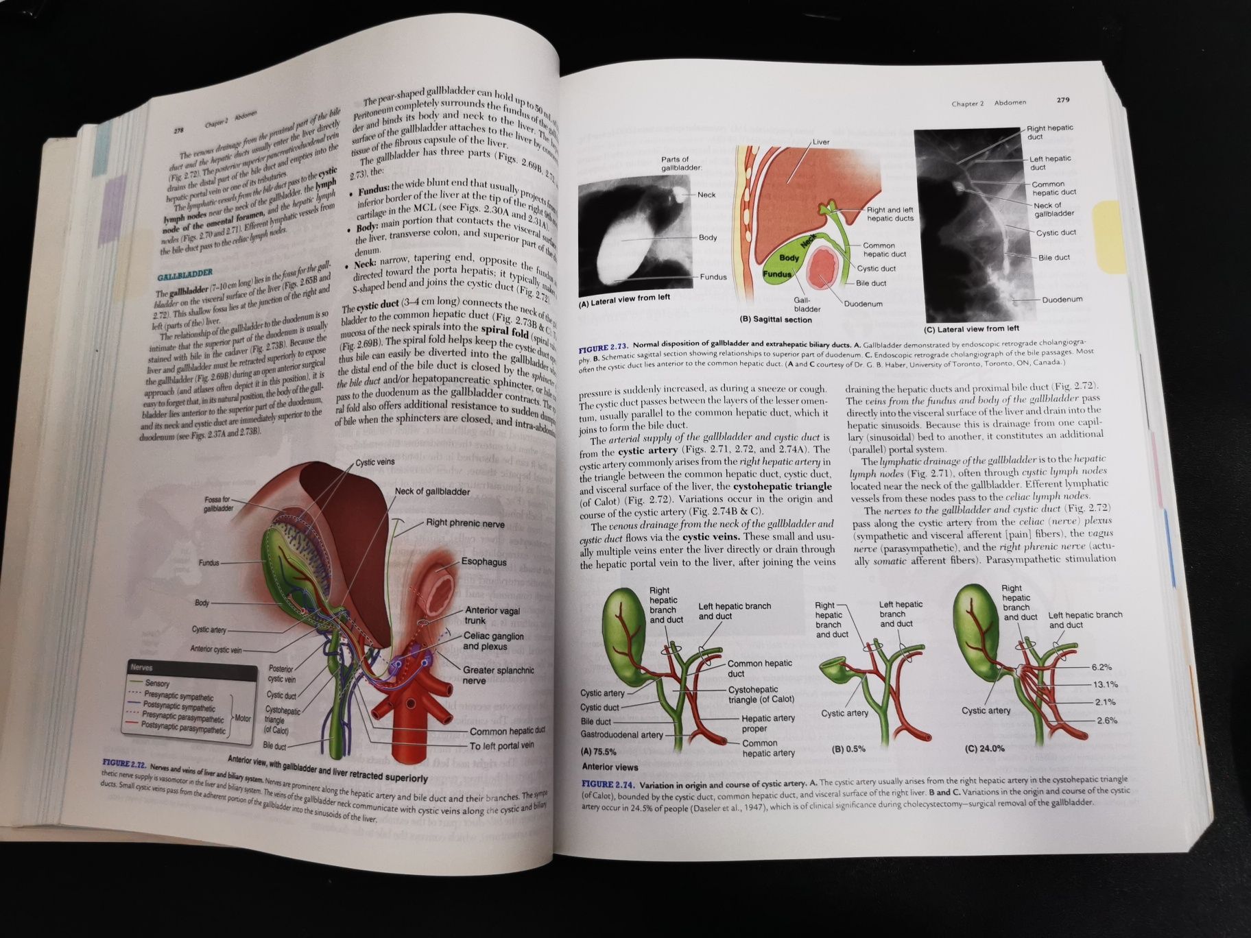 Clinically Oriented Anatomy Keith L. Moore 7th edition