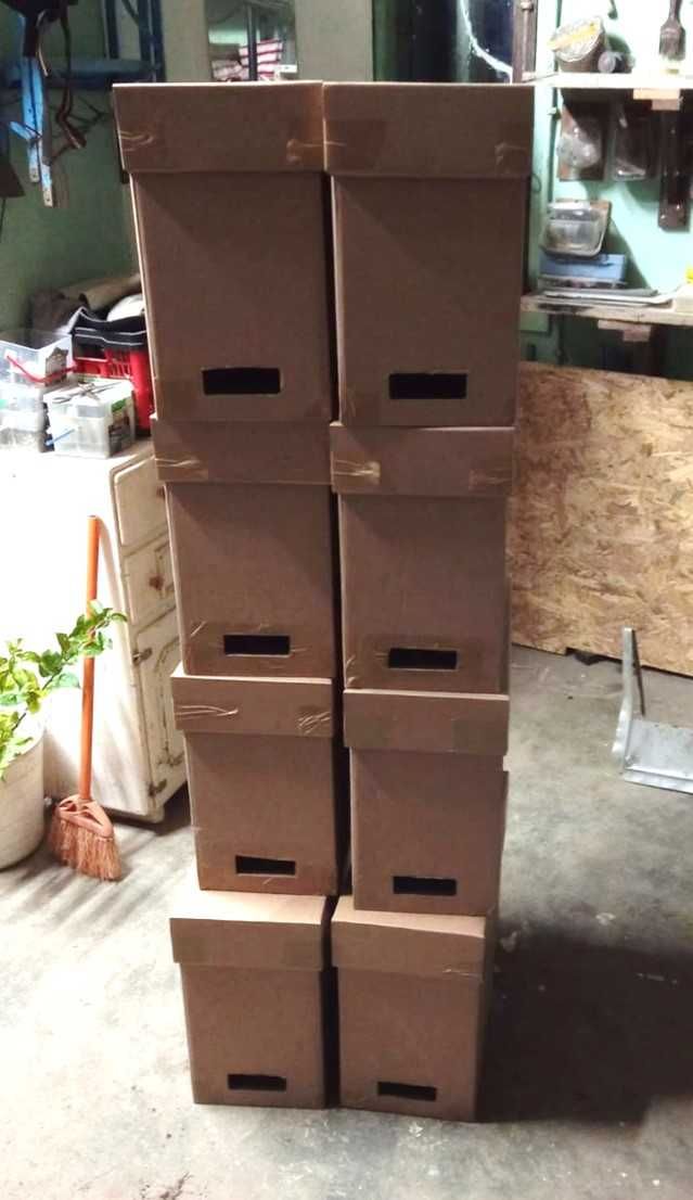 Enxames de abelhas com 5 quadros