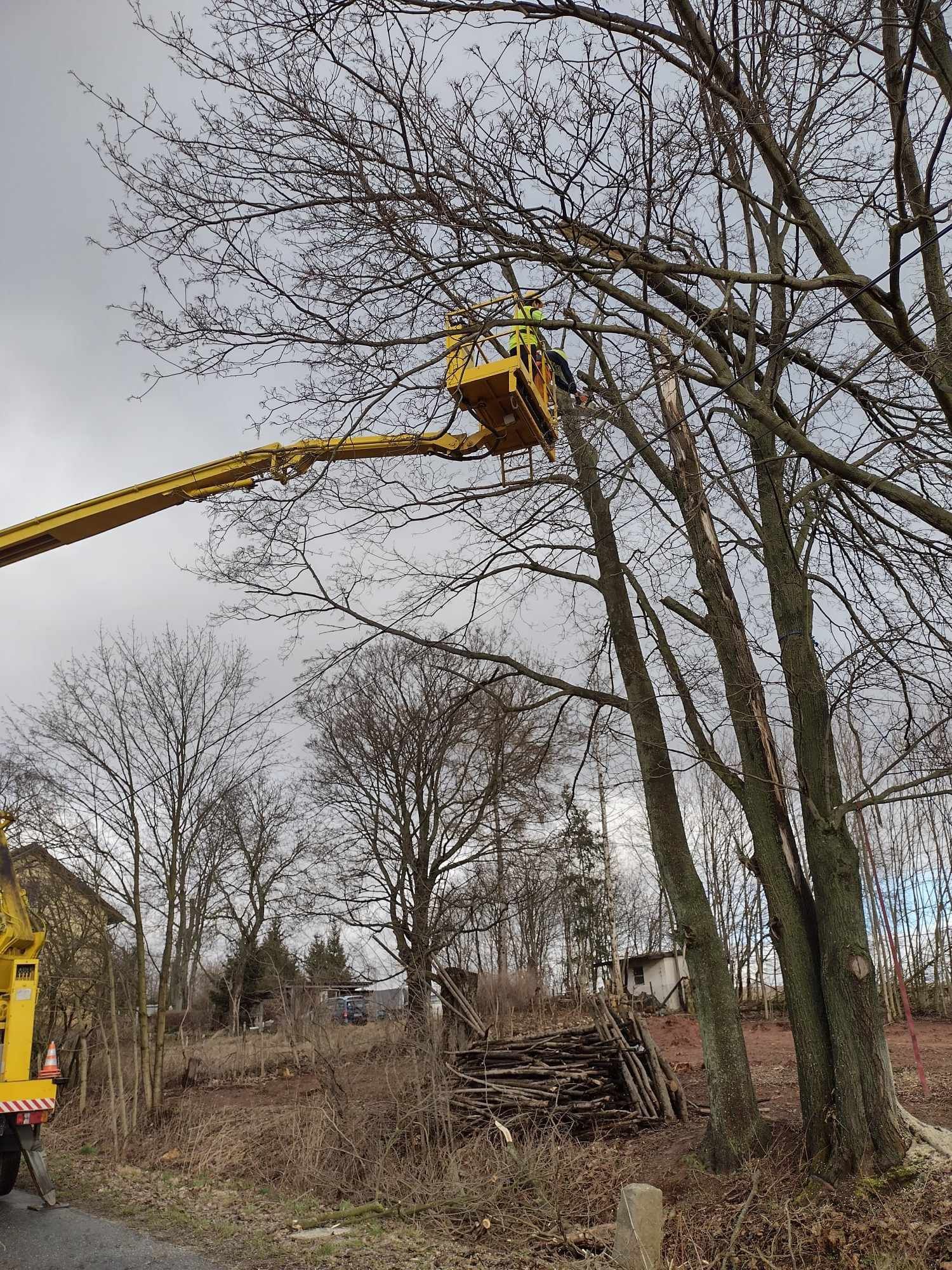 Wycinka drzew karczowanie przycinanie pielęgnacja drzew