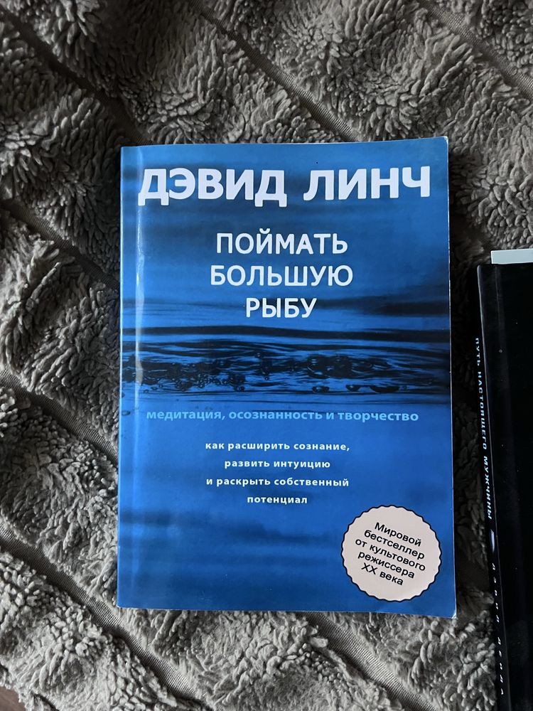Книга Девида Линча поймать большую рыбу