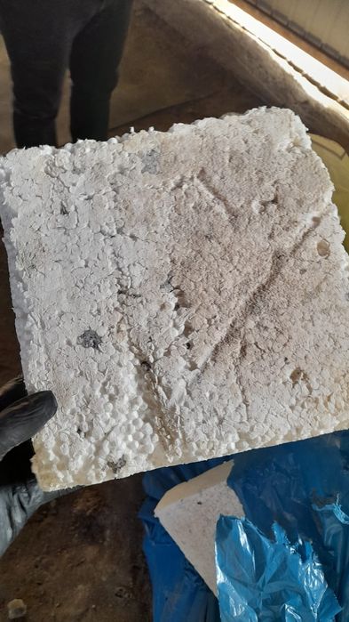 Oddam za darmo styropian