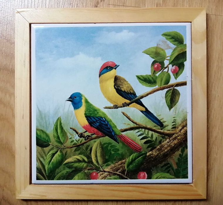 Ozdobna płytka ścienna, dekor, ptaki, papuga, koliber, kanarek