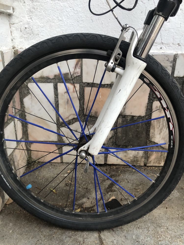 Bike motorizada 80cc